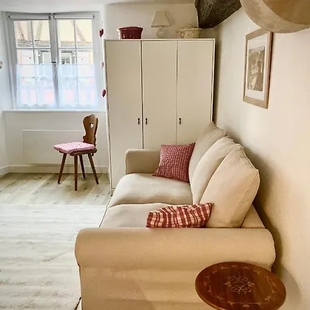 Le Cocon Petite France 아파트 *