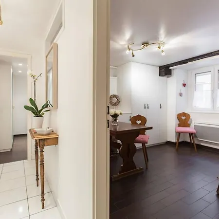 Le Cocon Petite France Apartment Strasbourg